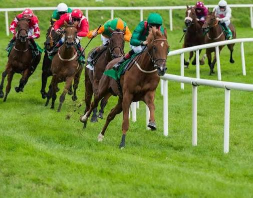 Messiturf10: Exploring Horse Racing and Turf