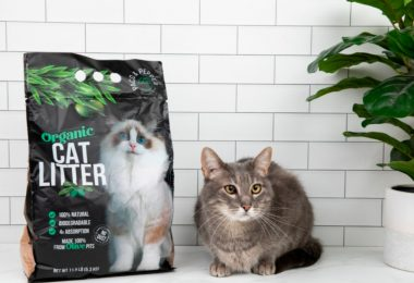 Petsshape Com: Complete Pet Care Guide