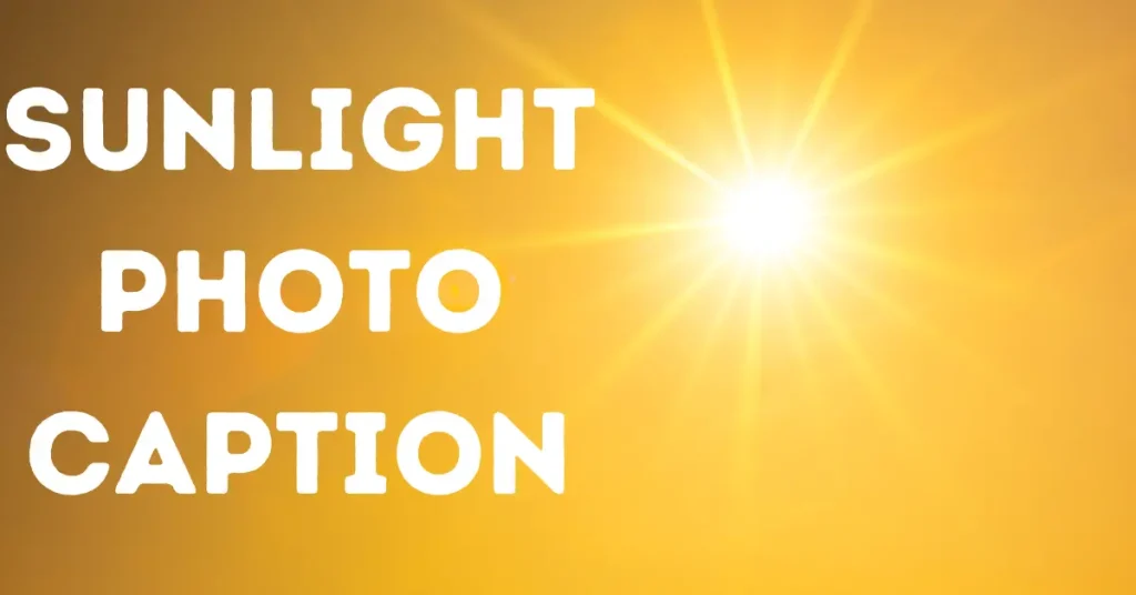 sunlight photo caption